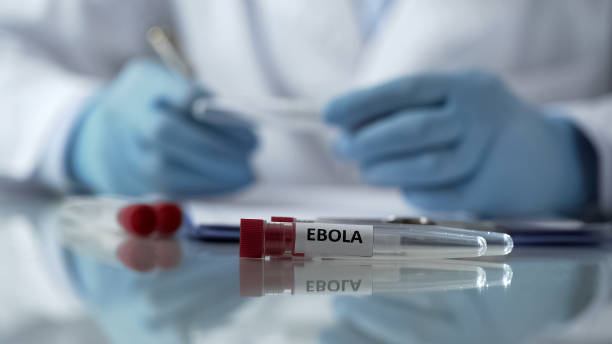 Ilustrasi virus ebola. Foto: Istimewa