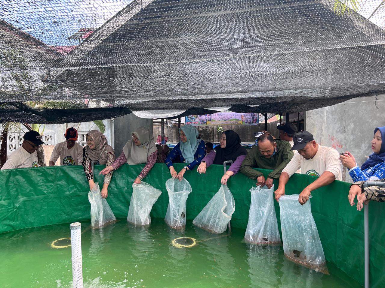 Budidaya ikan yang menjadi salah satu program pengembangan UMKM yang dilakukan Bank Indonesia Perwakilan Kalimantan Barat. Foto: Istimewa