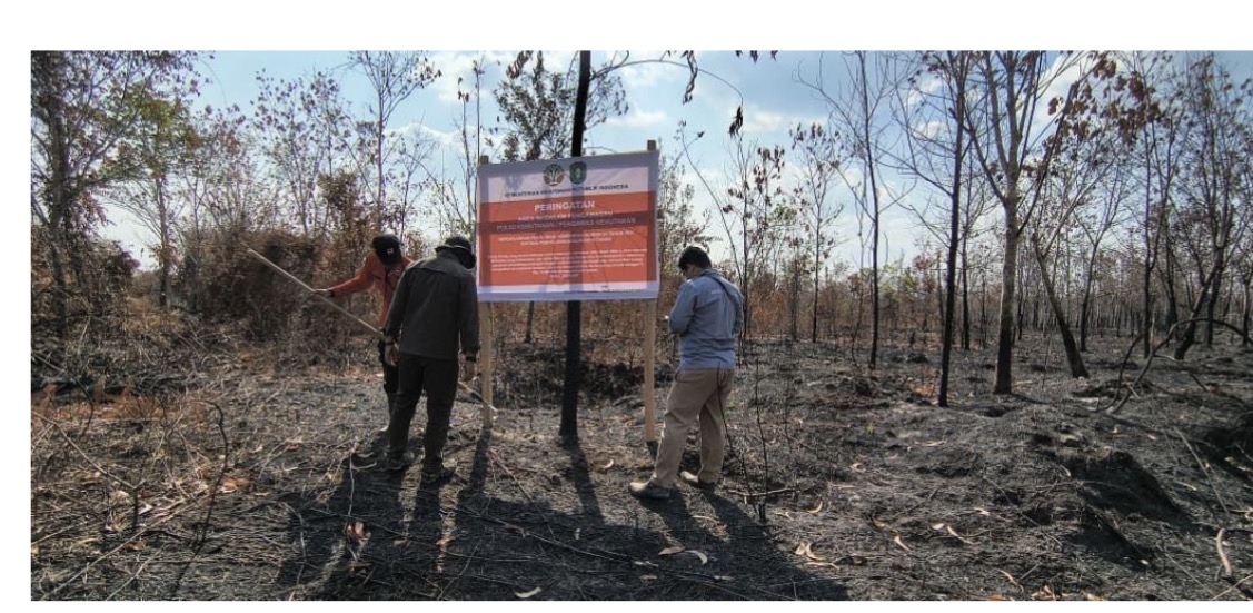 Petugas memasang papan peringatan di areal yang terdampak kebakaran hutan dan lahan (karhutla). Pengawasan dan penindakan terhadap perusahaan pemegang izin terus dilakukan Kementerian Kehutanan untuk mencegah kebakaran berulang. Foto: Istimewa