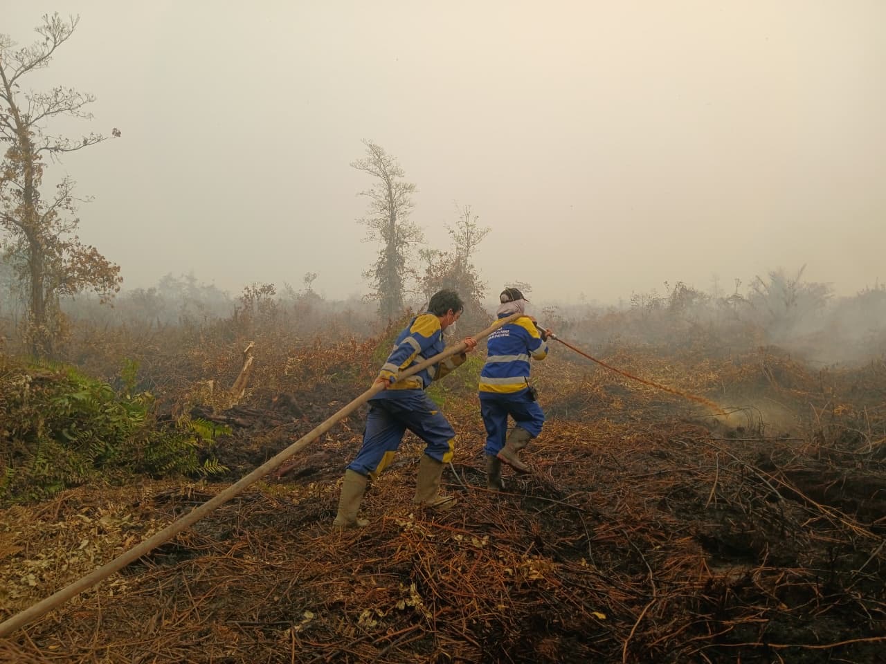 Petugas pemadam berjibaku memadamkan api di salah satu wilayah di Kalbar. Seiring meningkatnya kembali titip api, Gubernur Kalbar Ria Norsan menegaskan upaya penanganan karhutla terus dimaksimalkan. Foto: Istimewa