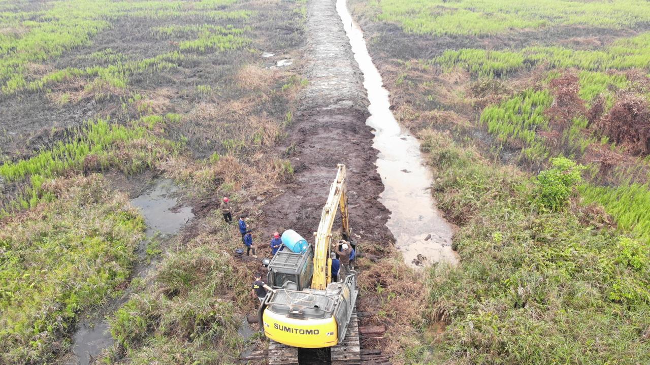 Pekerja menggunakan ekskavator yang diduga membuka parit dan badan jalan di kawasan Hutan Produksi Konversi (HPK) Desa Sungai Awan Kiri, Kecamatan Muara Pawan, Kabupaten Ketapang, Kalimantan Barat. Aktivitas tersebut terungkap saat tim gabungan melakukan penanganan karhutla di wilayah tersebut. Foto: Istimewa