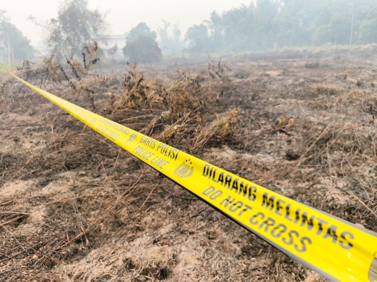 Lahan bekas terbakar di Lintang Batang, Jalan Trans Kalimantan, Desa Teluk Bakung, Kecamatan Sungai Ambawang dipasang police line. Kementerian Lingkungan Hidup mengusut dugaan kebakaran lahan di 35 perusahaan di Kalbar di Ketapang, Kubu Raya, Sekadau, Sanggau, Melawi, dan Bengkayang. Foto: Istimewa