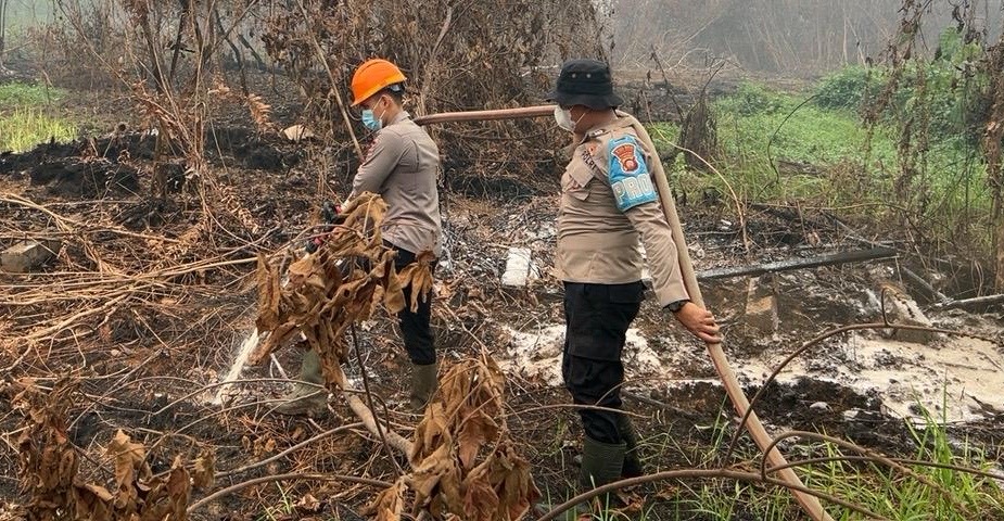 Petugas melakukan pemadaman dan pendinginan di lahan yang masih mengeluarkan asap akibat karhutla di Desa Limbung, Kecamatan Sungai Raya, Kabupaten Kubu Raya, Senin (21/9/2026). Foto: Istimewa