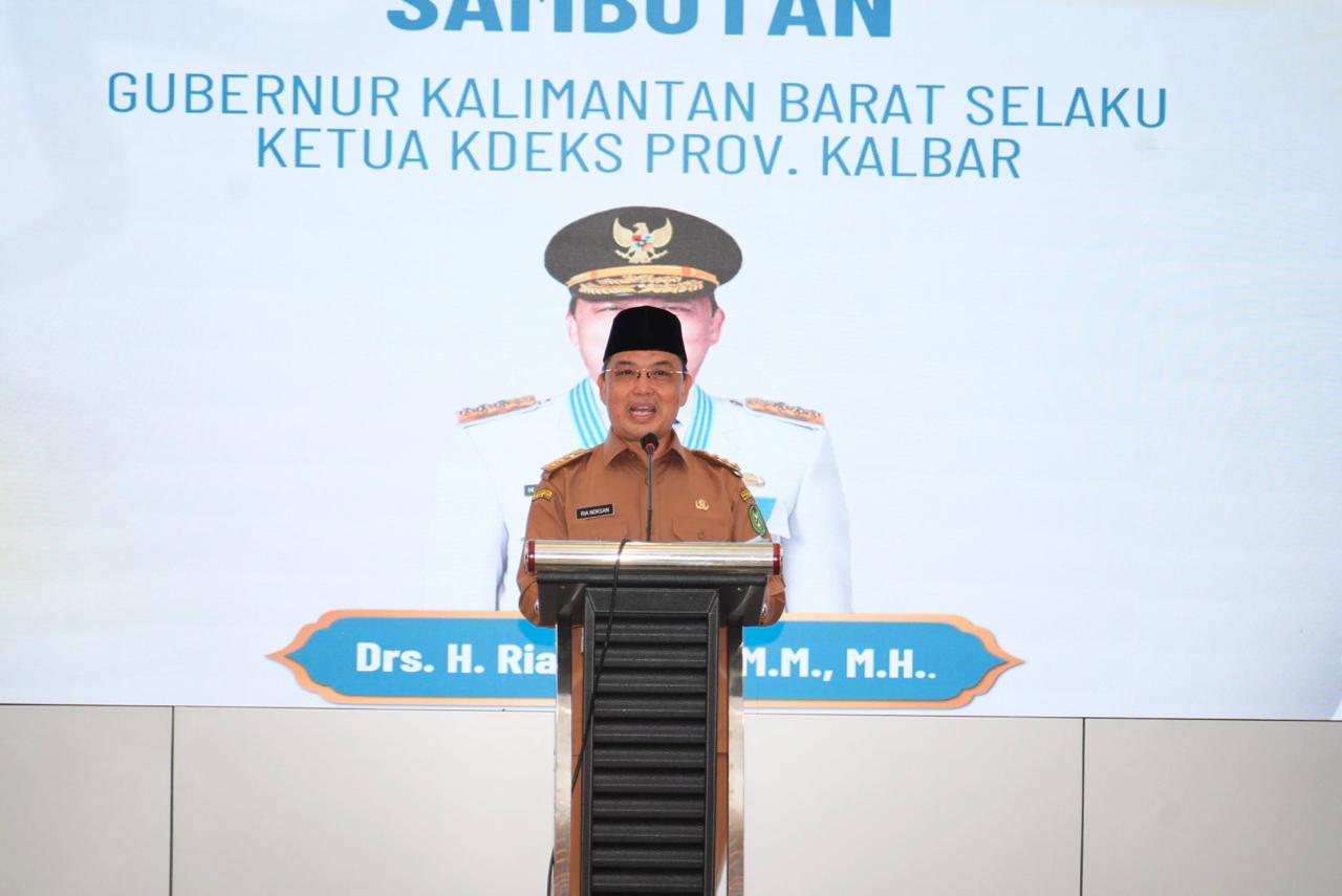 Gubernur Kalimantan Barat, Ria Norsan. Foto: Istimewa