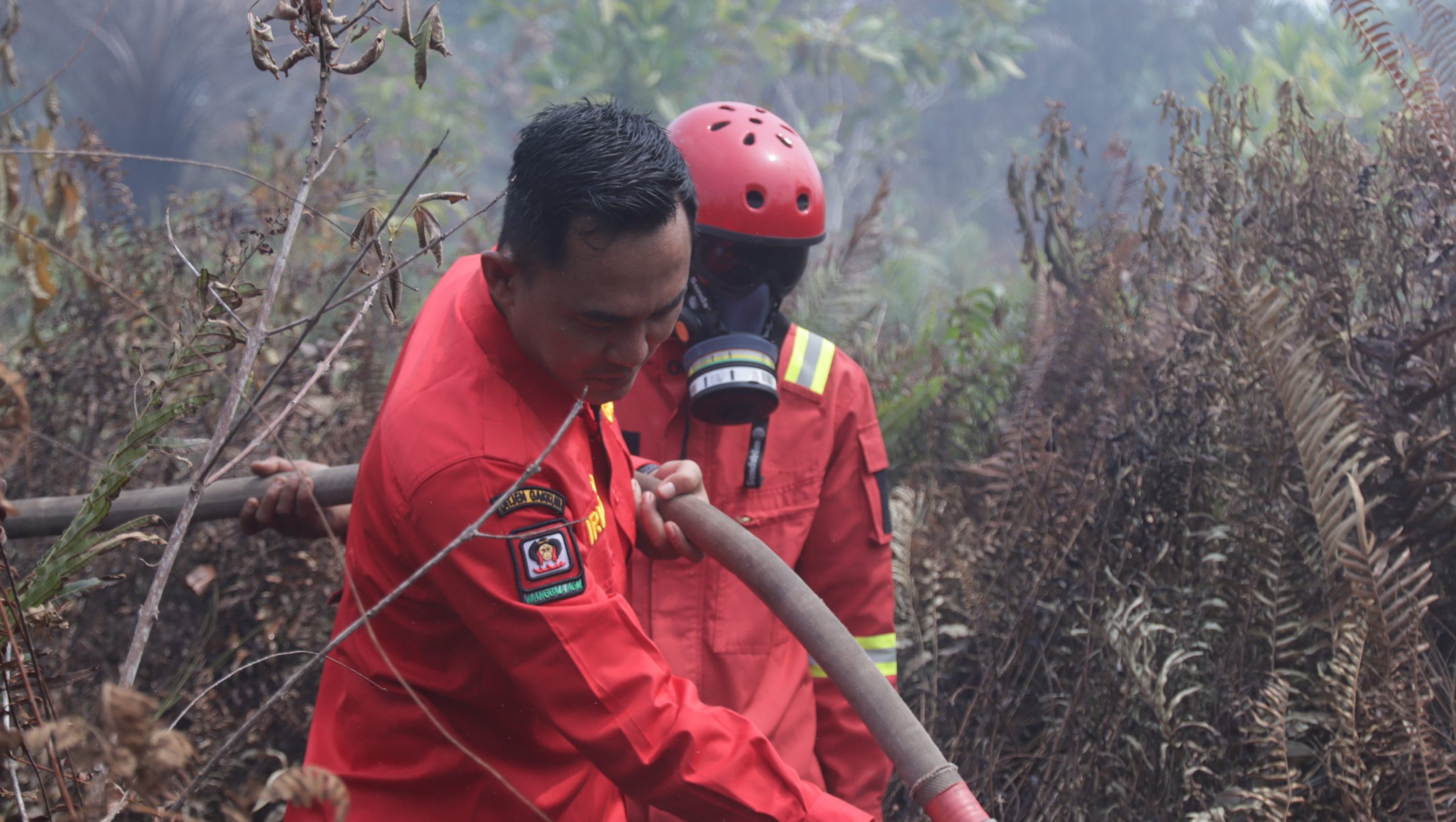 Petugas melakukan pemadaman karhutla di Kalbar. Foto: Akcaya