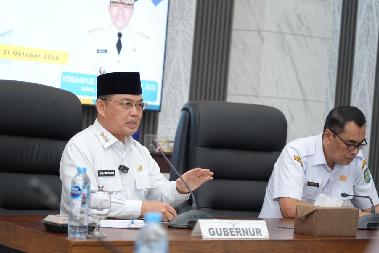 Gubernur Kalbar Ria Norsan. Foto: Istimewa